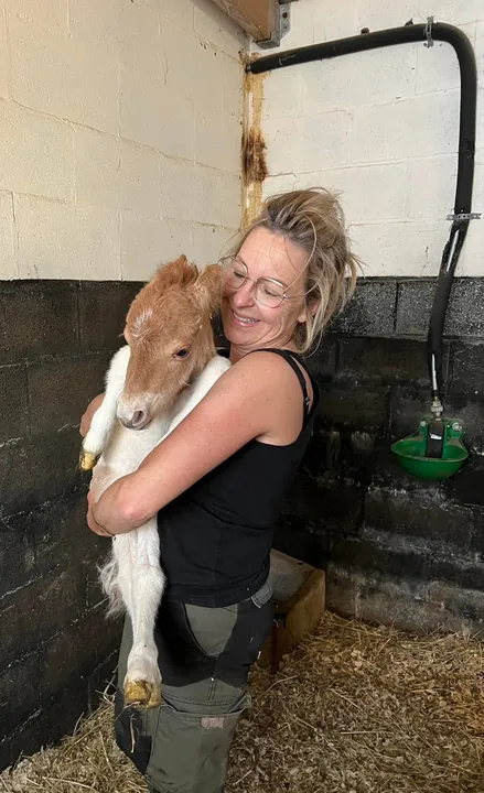Anne mit einem Shetlandfohlen